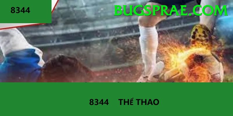 Cá Cược Thể Thao - Ưu đãi đặc biệt